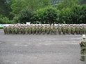 bild (29)
